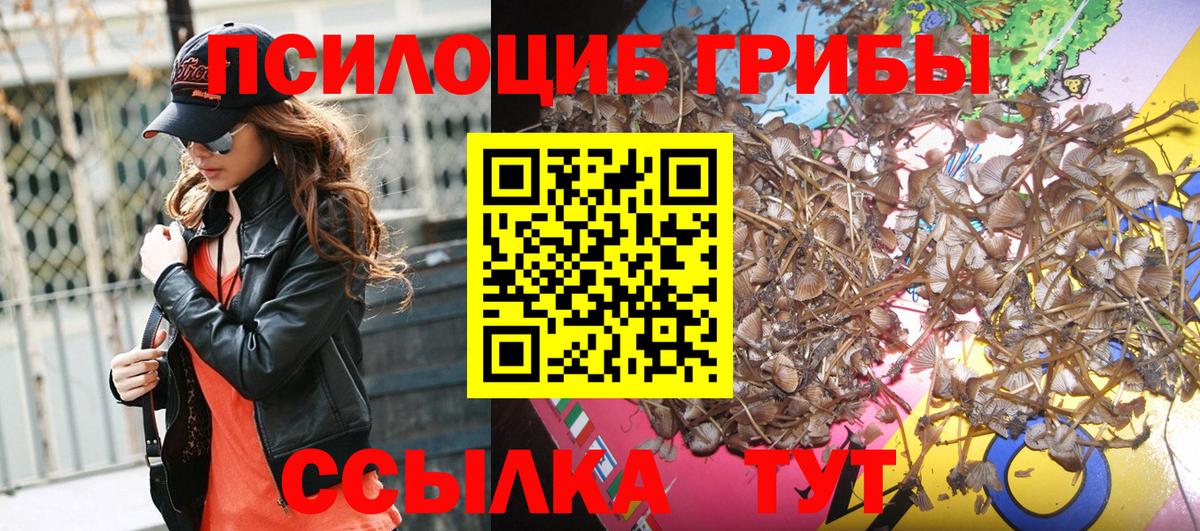 Георгиевск  Псилоцибиновые грибы Magic Shrooms  Галлюциногенные грибы Psilocybine cubensis  Вход с VPN 