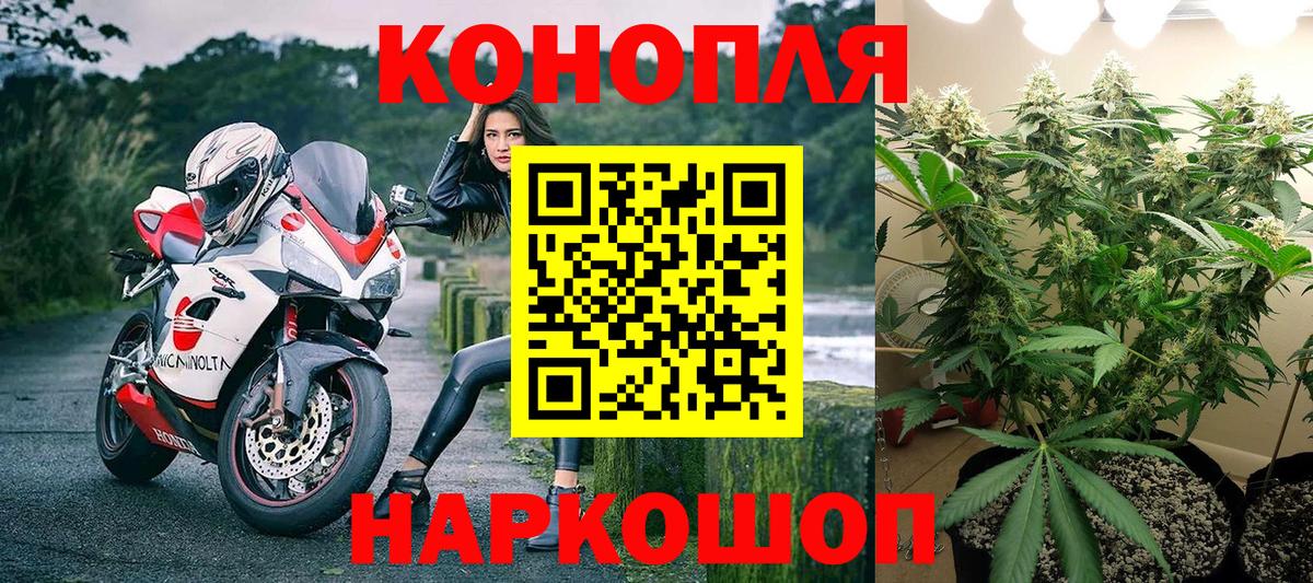 Бошки Шишки семена Георгиевск